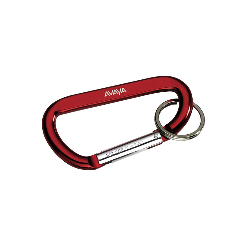 Carabiner with Ring