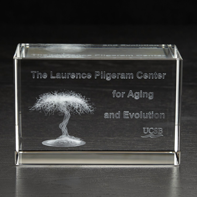 Extra Large Block 3D Crystal Award