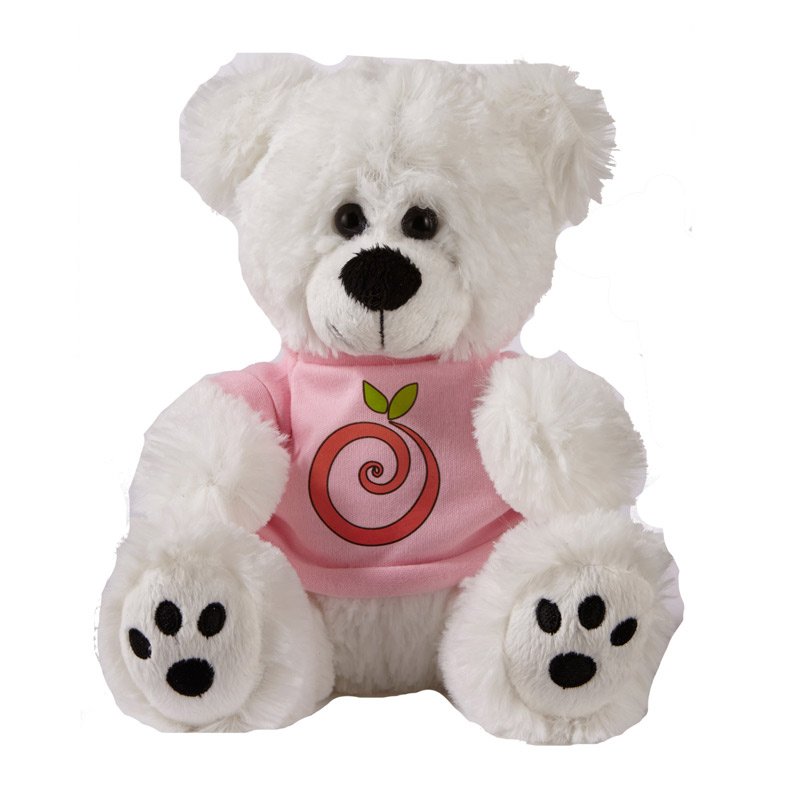 Plush Bear w/ Embroidered Paws and T-Shirt